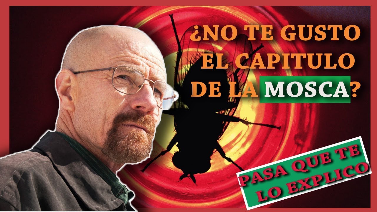 SPOILER - Breaking Bad: ¿Te aburrio el capitulo de la mosca? Te lo explico | Coffe TV