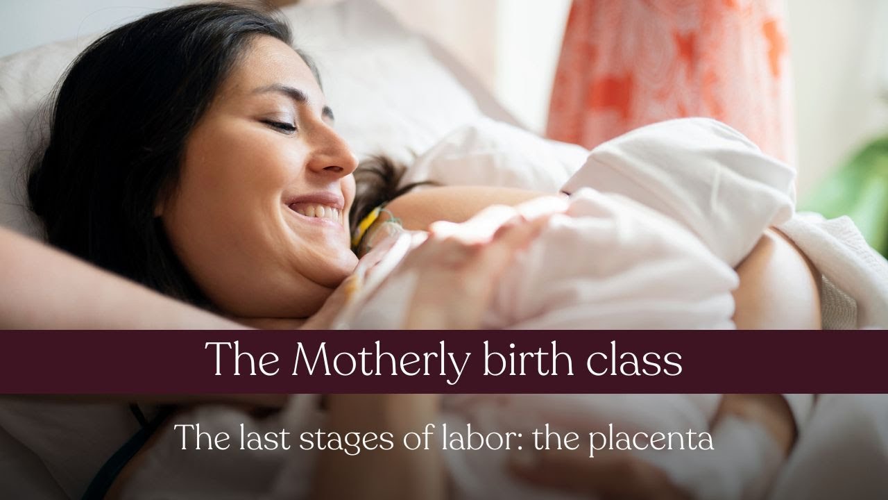 Lesson 6: The placenta | The Motherly birth class