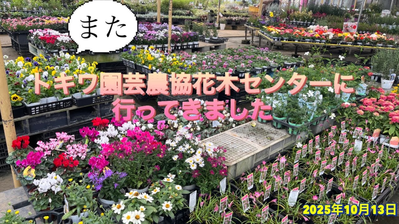 また　トキワ園芸農協花木センターに行ってきました