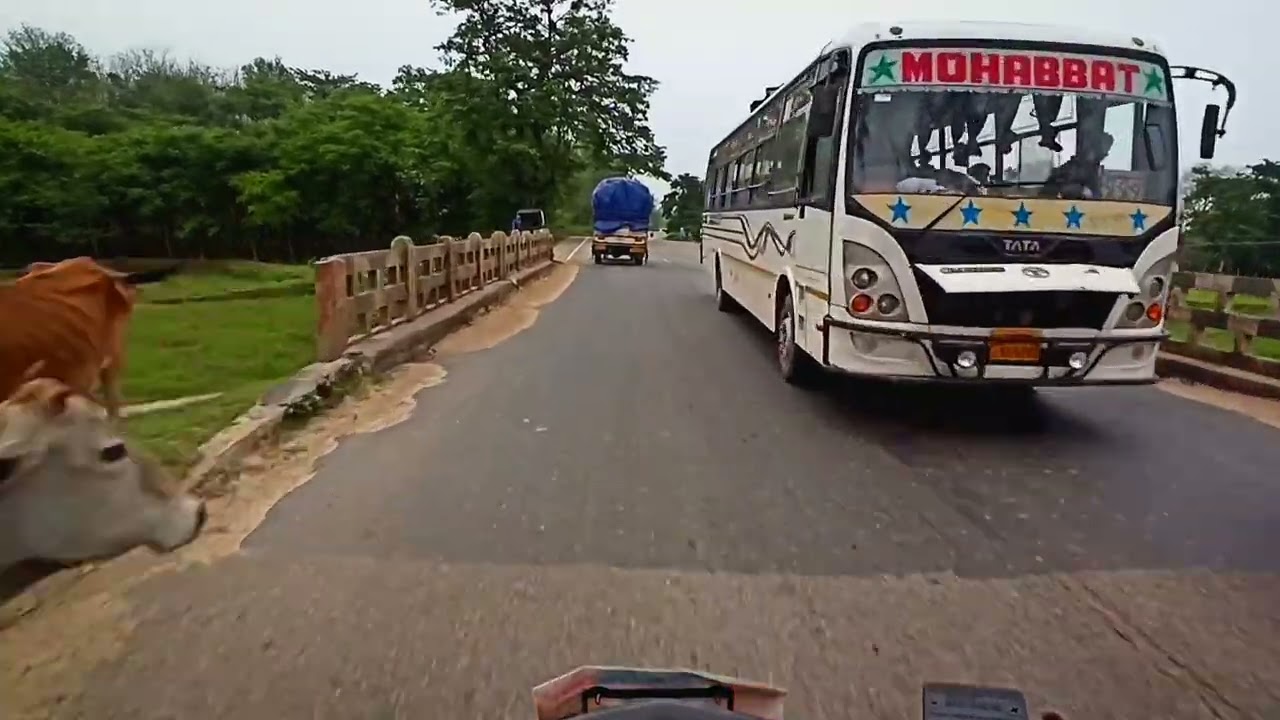 beautiful road of dhubri punbari (bsf camp)