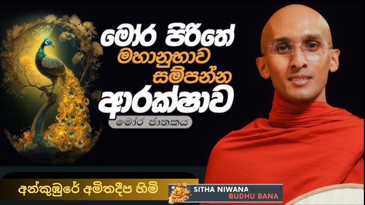 Ankumbure Amithadeepa Himi New Sinhala #mahamevnawa Dharma Deshana | මෝර පිරිතේ විස්මිත ආරක්ෂාව