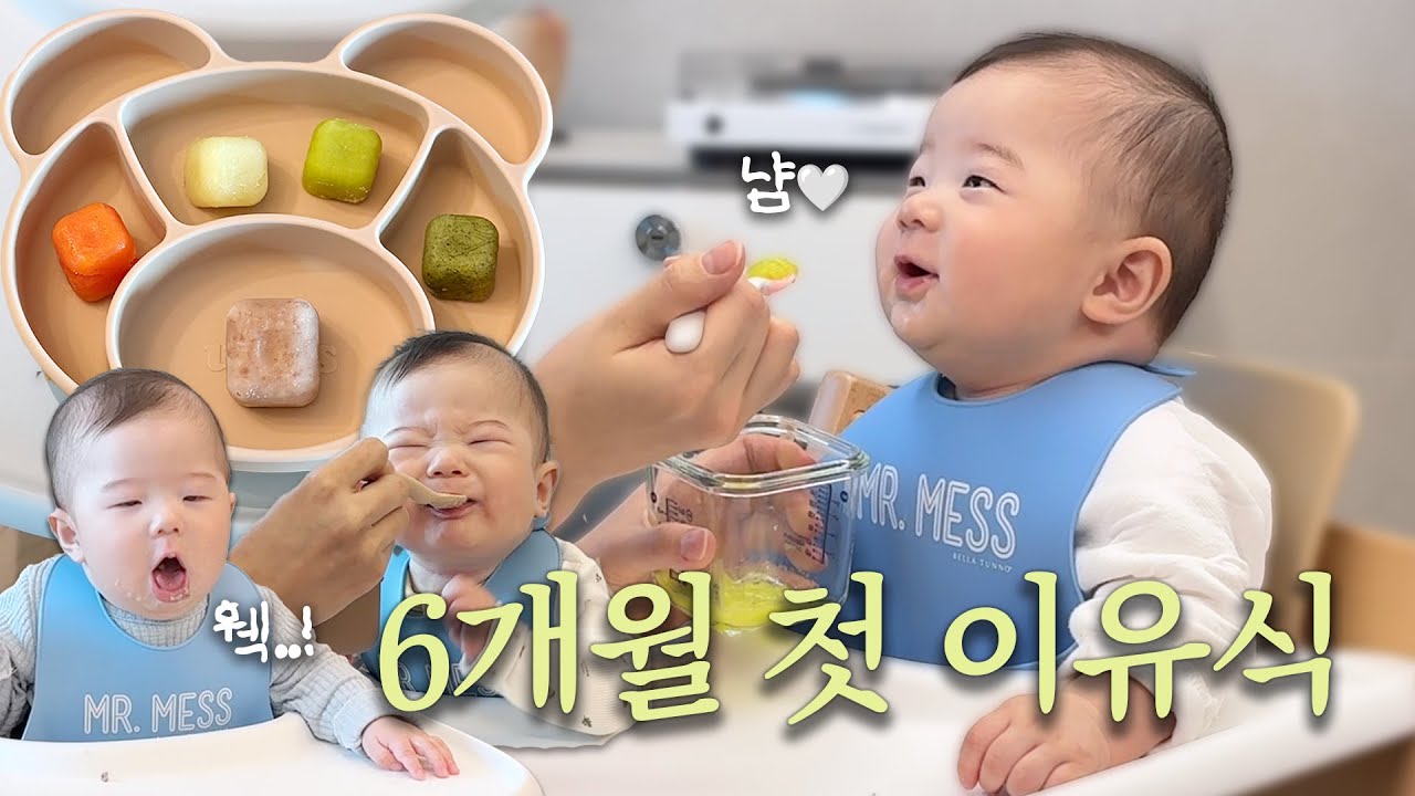 [VLOG] 6개월 아기 이유식 첫 반응은? 이유식 거부에서 완밥으로 일주일간의 기록 (#이유식시작 #이유식준비물 #초기이유식)