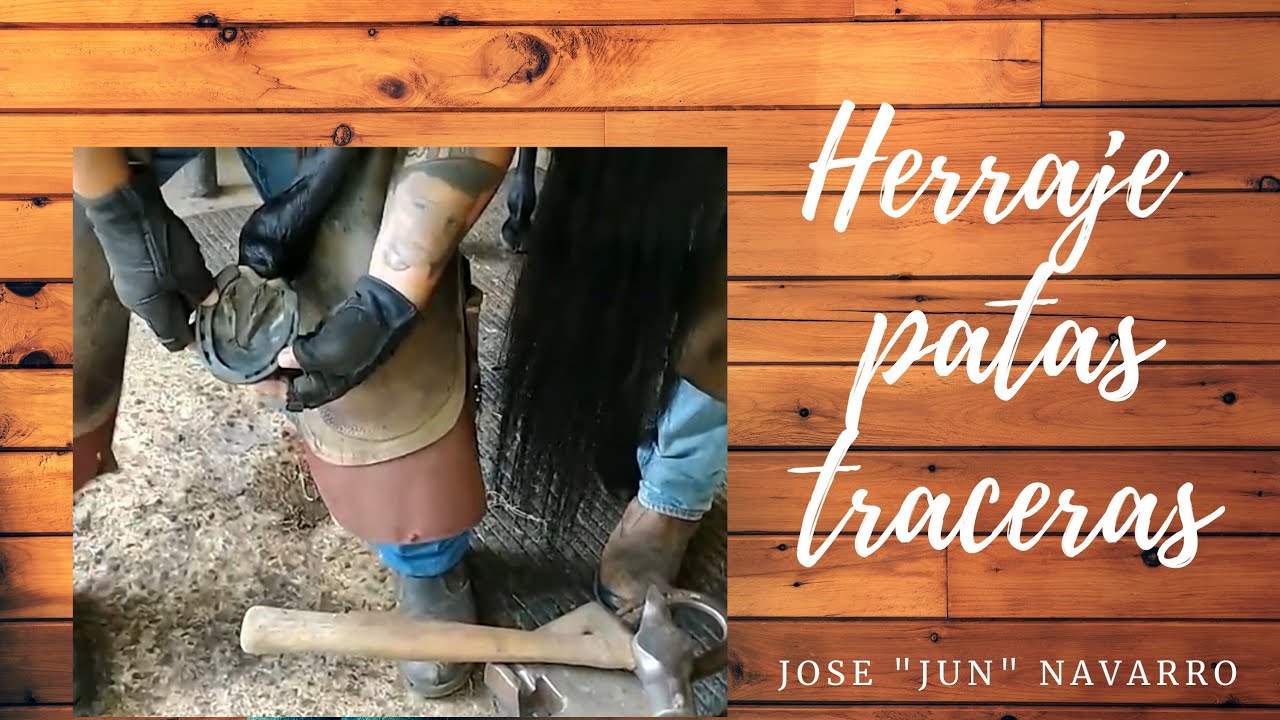 HERRAJE PATAS TRASERAS