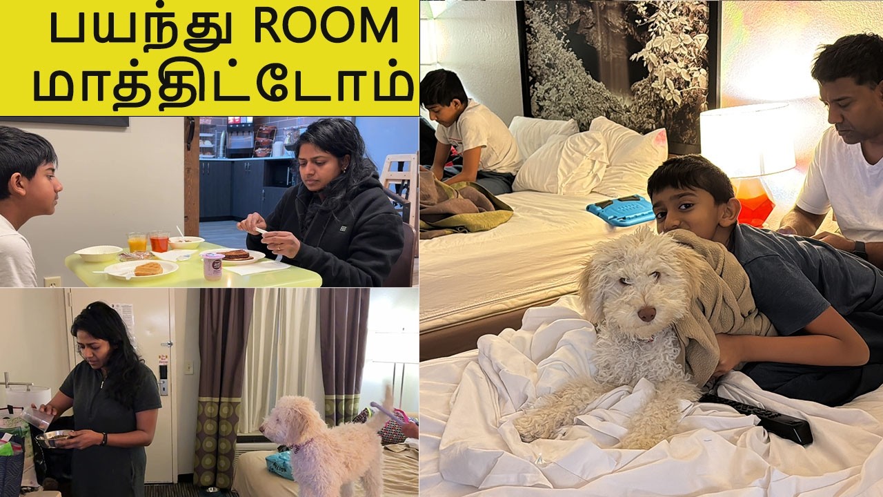 Our 1st time experience on AFFORDABLE budget Hotel for pets~ Tennessee trip~ Family Traveler VLOGS