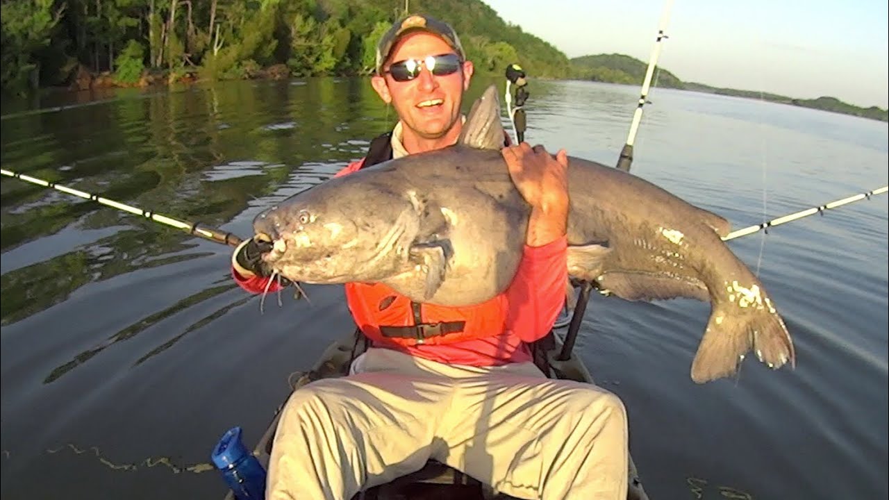 Catfishing Chaos! Trophy blue catfish, flathead catfish, striped bass, and more! Yak Tribe Day 4
