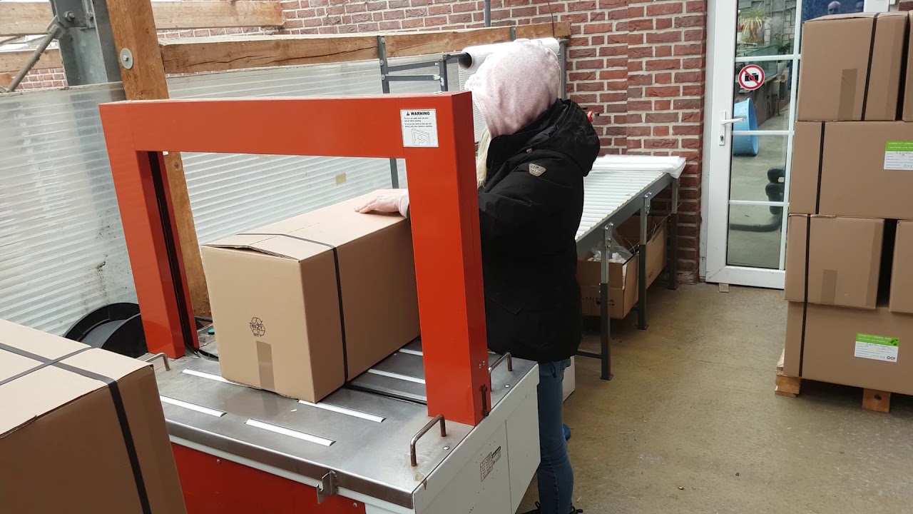 Bei Fischgut Pimus wird schon ordentlich versendet.