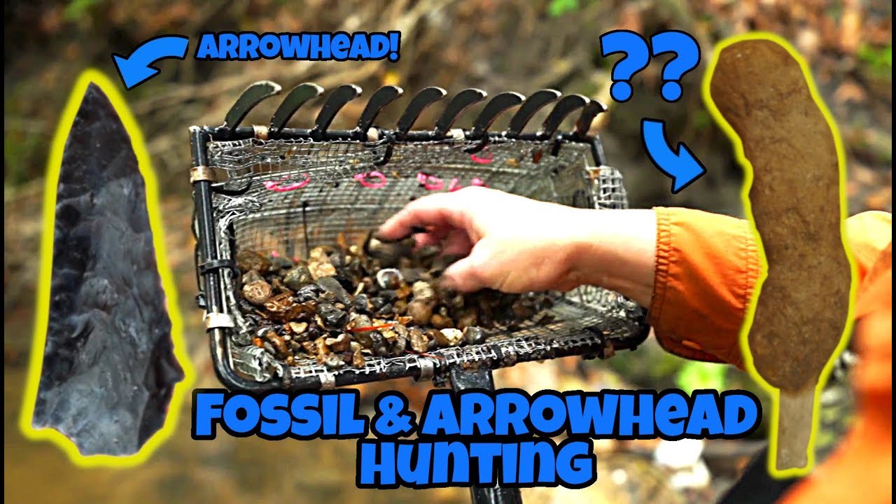 We Found an Ancient Arrowhead! Fossil (Shark Tooth) and Artifact Hunting in Florida (Megalodon)