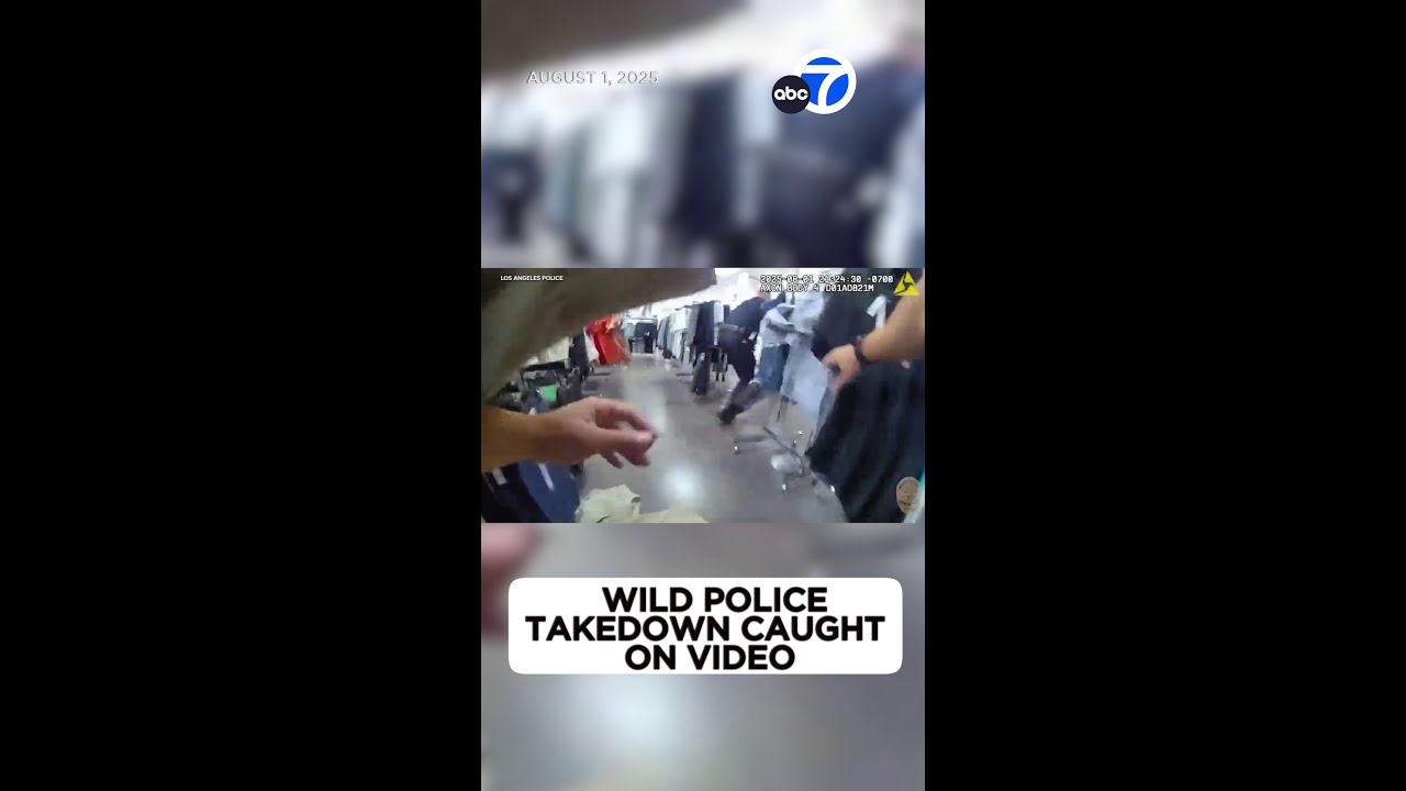 Wild police takedown caught on video