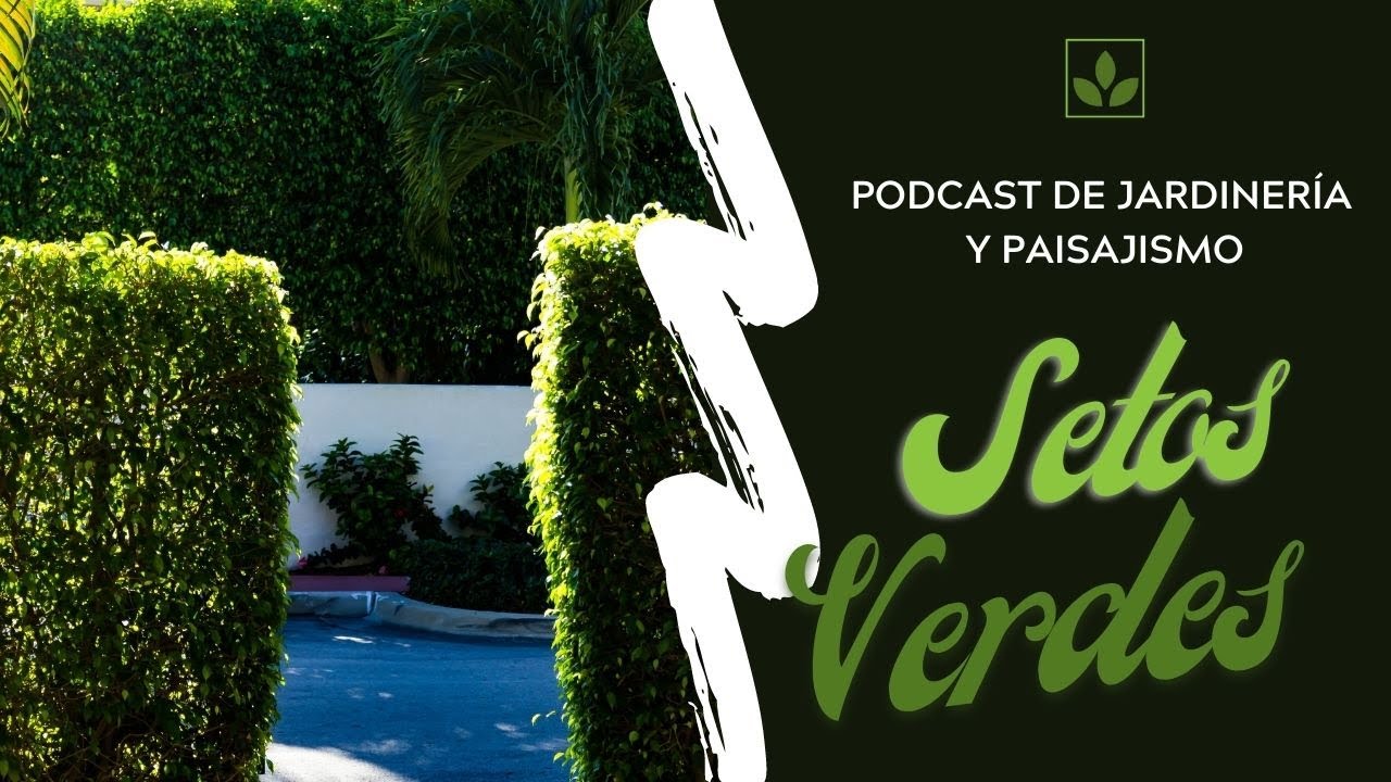 # 151 - Arbustos para setos o cercos verdes