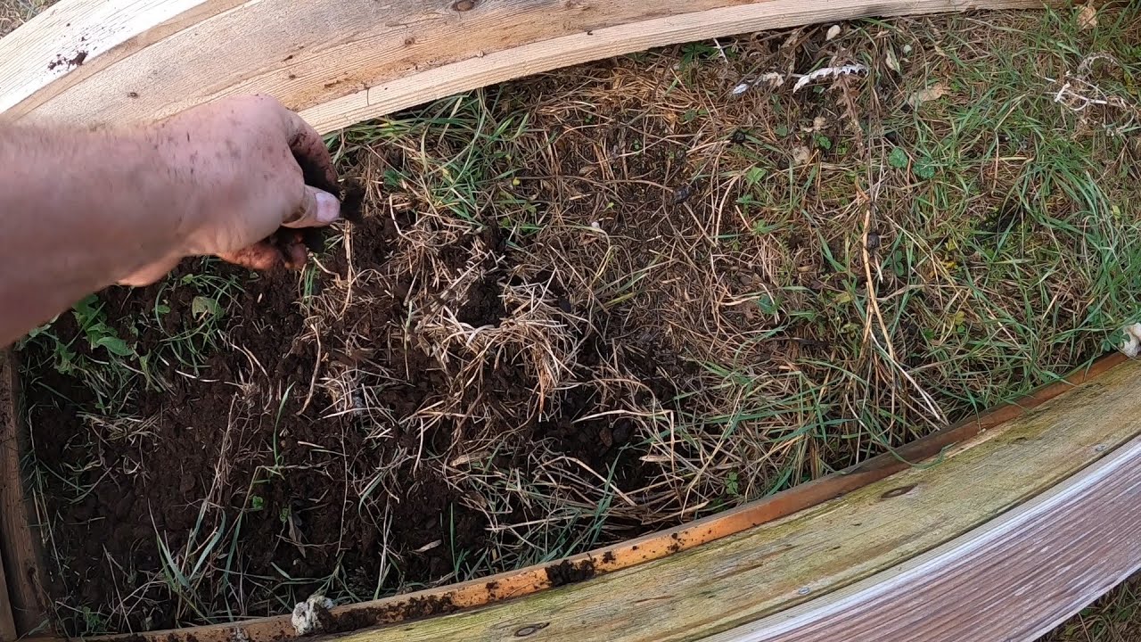 11.11.20 - Préparation des planches enherbées (2) : terreautage
