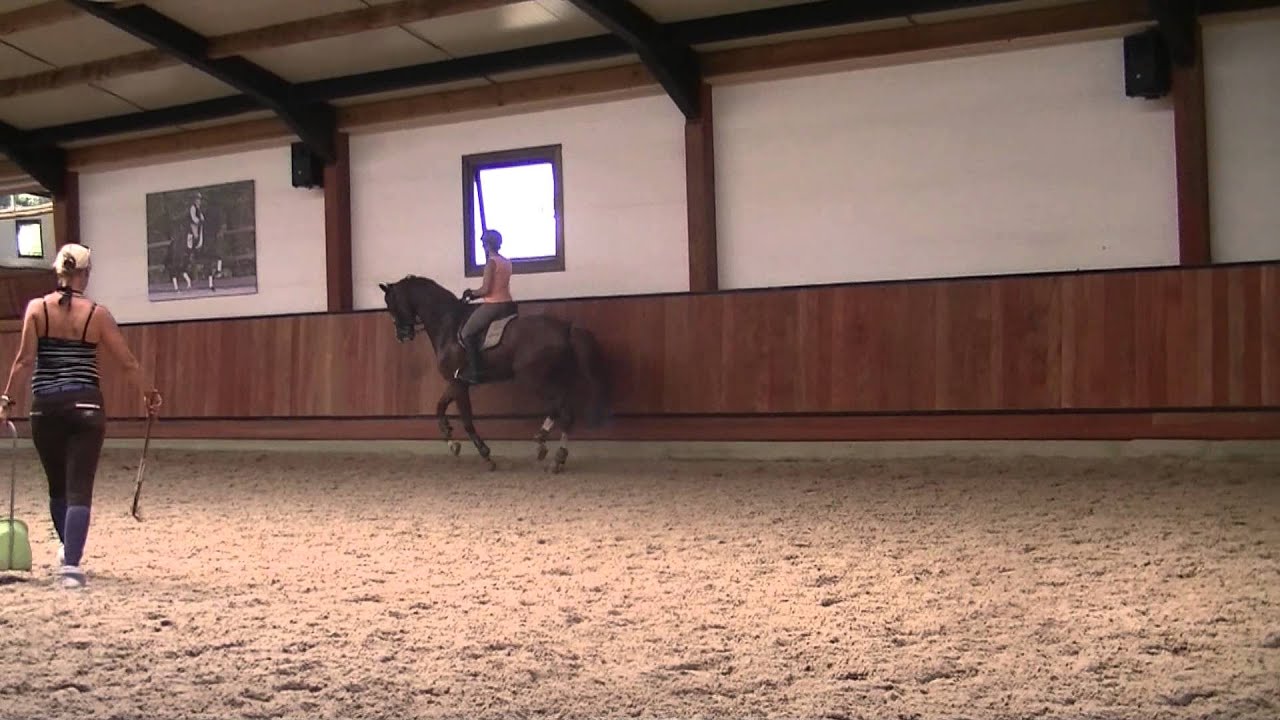 Les bij Johan Hamminga 01-08-2013