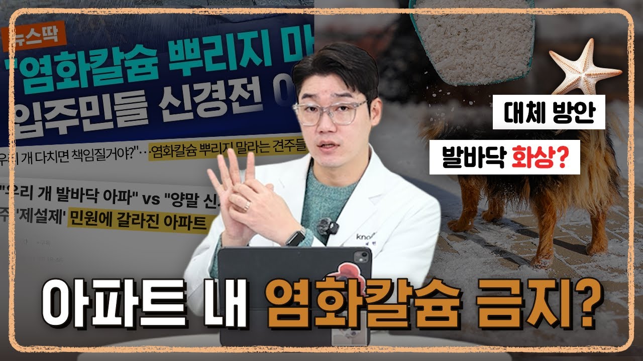겨울철 염화칼슘 논쟁 ‼️ 강아지에게 미치는 영향과 대안점 (+ 발바닥 화상) l 팩트체크 l 설채현 행동학 수의사