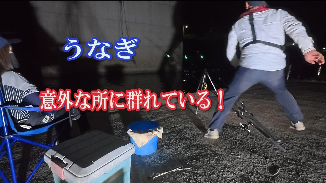 簡単に釣れる小さな小川が凄い！ウナギはこんな所にいました。