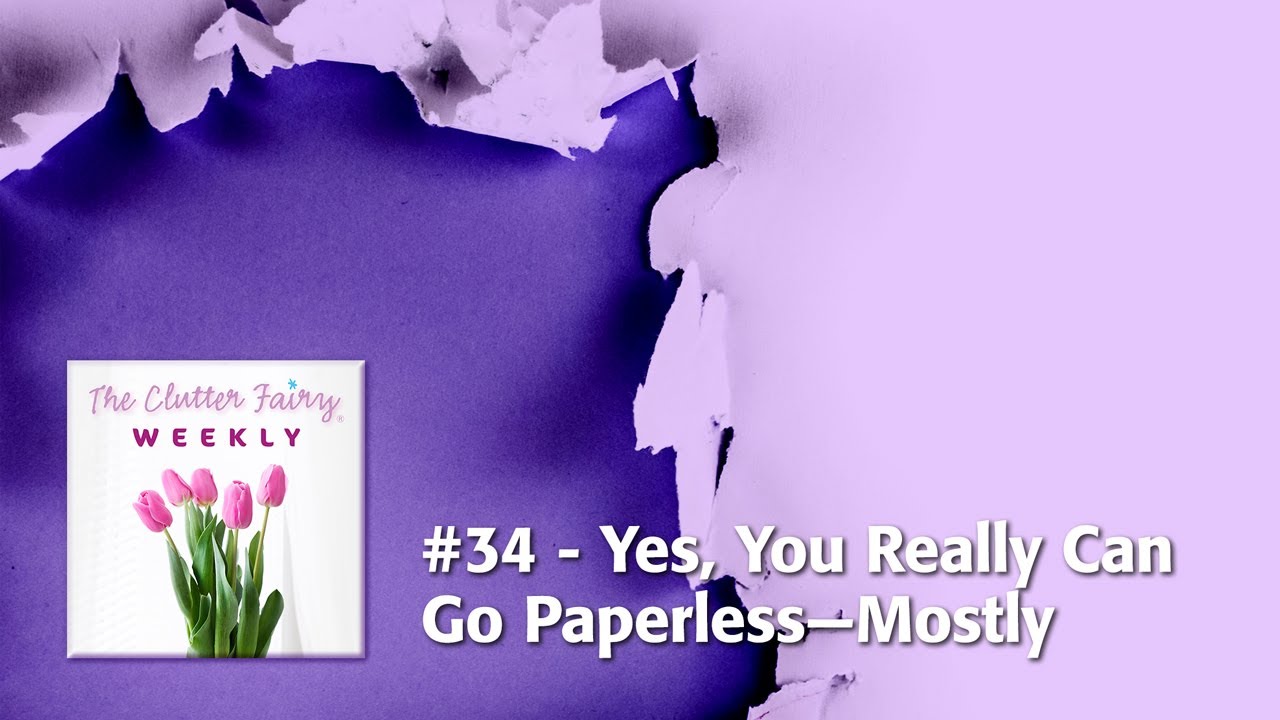 Yes, You Really Can Go Paperless—Mostly - The Clutter Fairy Weekly #34