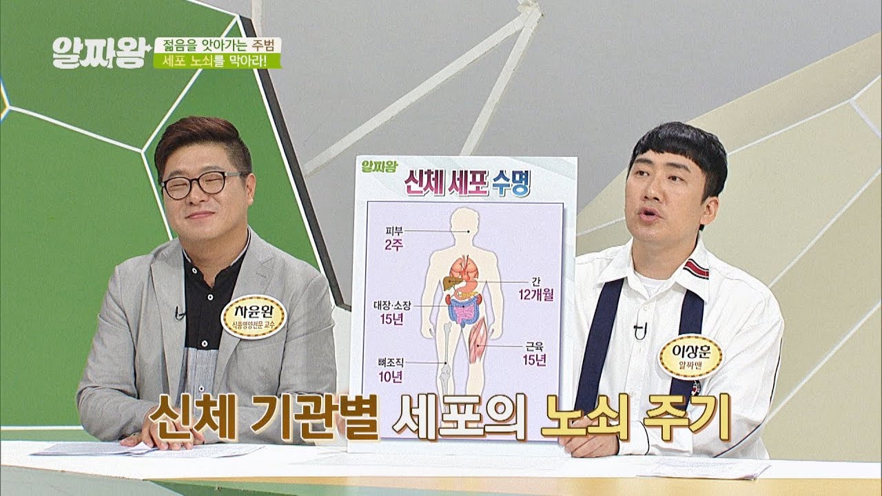 일정한 주기로 늙어가는 신체 기관별 '세포의 수명' TV정보쇼 알짜왕(alzzaking) 187회 | JTBC 20200910 방송
