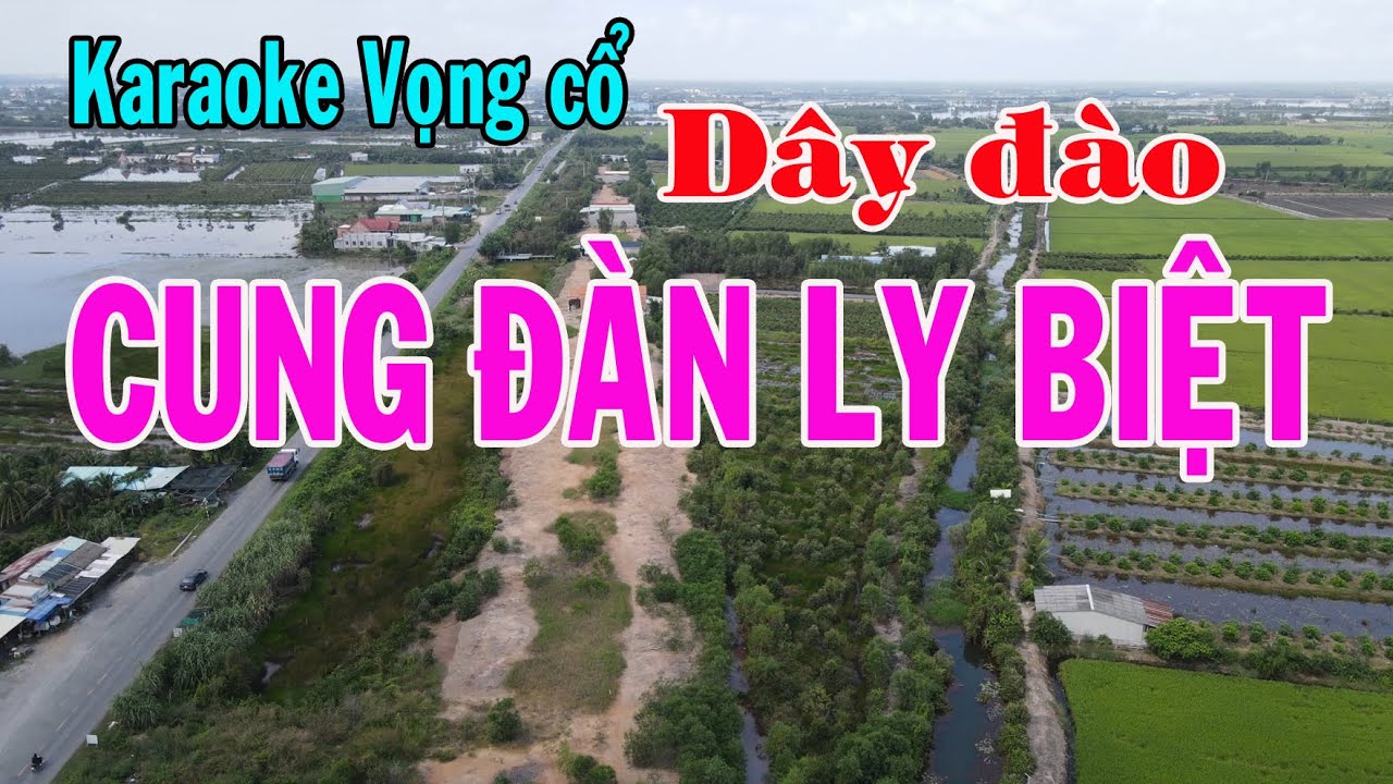 Karaoke vọng cổ CUNG ĐÀN LY BIỆT -  DÂY ĐÀO