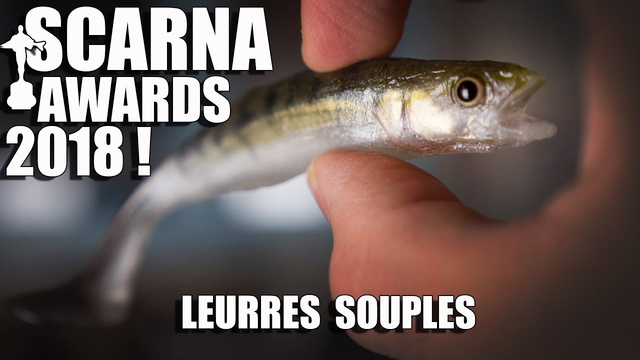 Nos MEILLEURS LEURRES SOUPLES pour L'OUVERTURE CARNA 2018 !