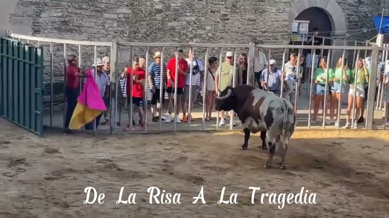 Portaje, C&aacute;ceres.  encierro del s&aacute;bado Toro de la ganader&iacute;a de Galache.