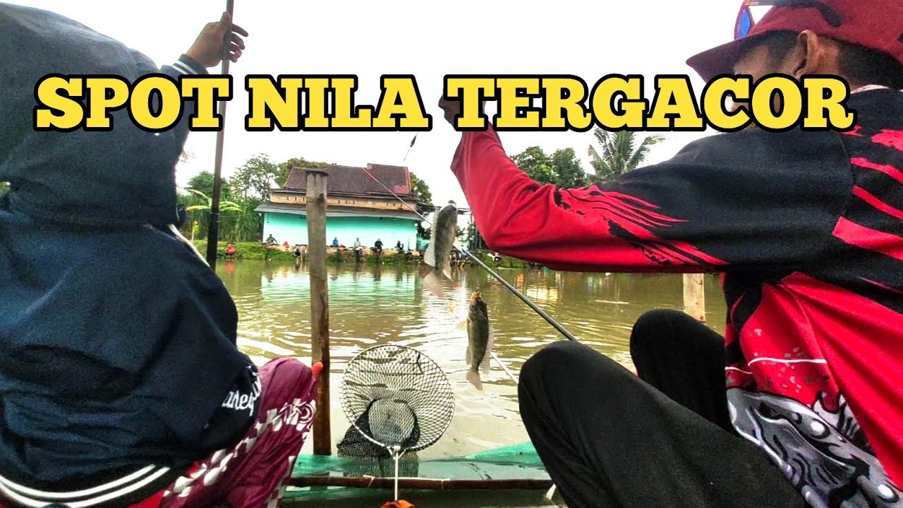 Terbaru...!! Spot Nila Paling Gacor