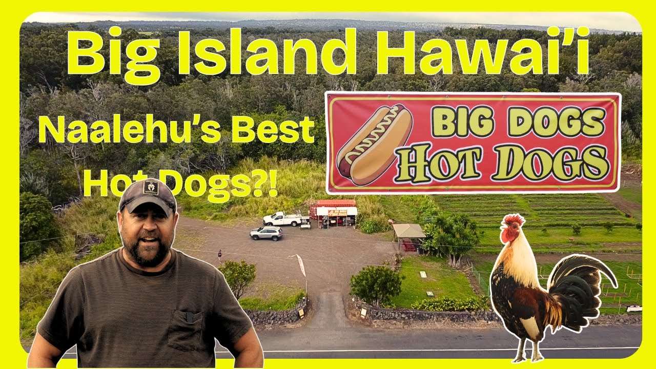 Exclusive Behind the Scenes Food Review: Big Dogs Hot Dogs in South Point, Big Island, Hawaii