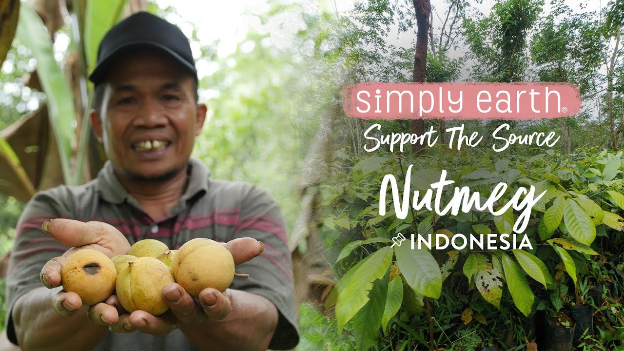 Nutmeg: Straight From A Fully Organic Farm in Indonesia