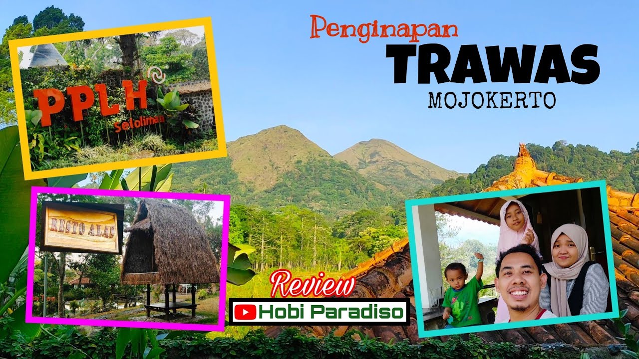 pengalaman exotic menginap di pplh seloliman trawas yang sejuk dan tenang