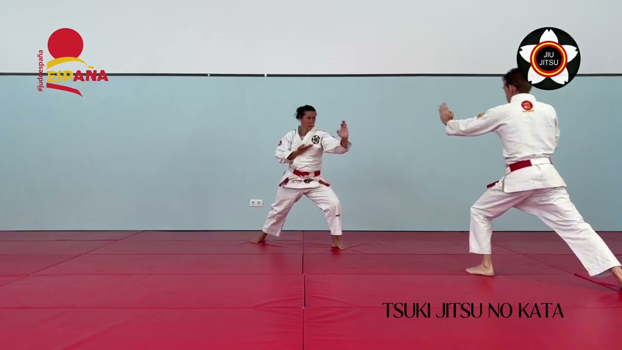 TSUKI JITSU NO KATA