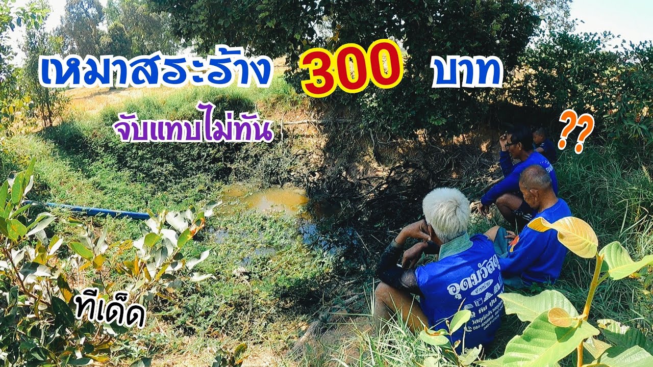 ทีเด็ด !! หนุ่มอ้นเหมาสระรกร้าง 300฿ ปลาเยอะจริงๆ ช่วยกันลุมจับแทบไม่ทัน