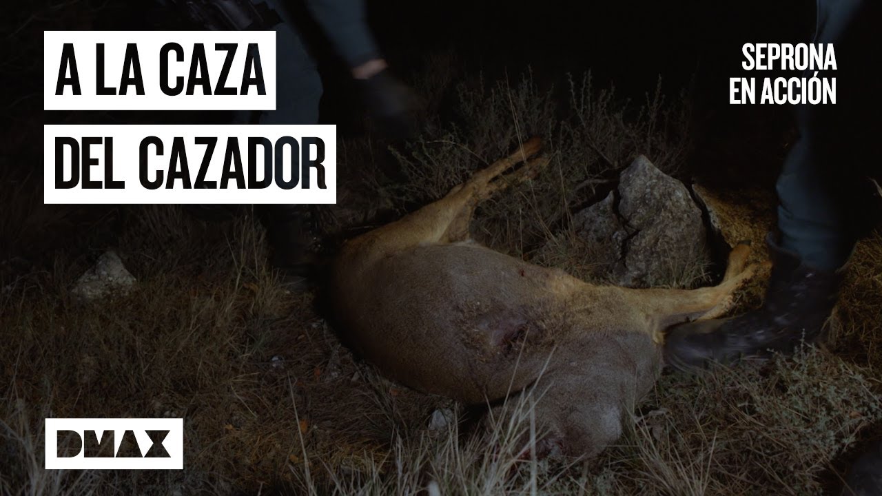 Combatiendo la caza furtiva: as&iacute; actua el Seprona | Seprona en acci&oacute;n