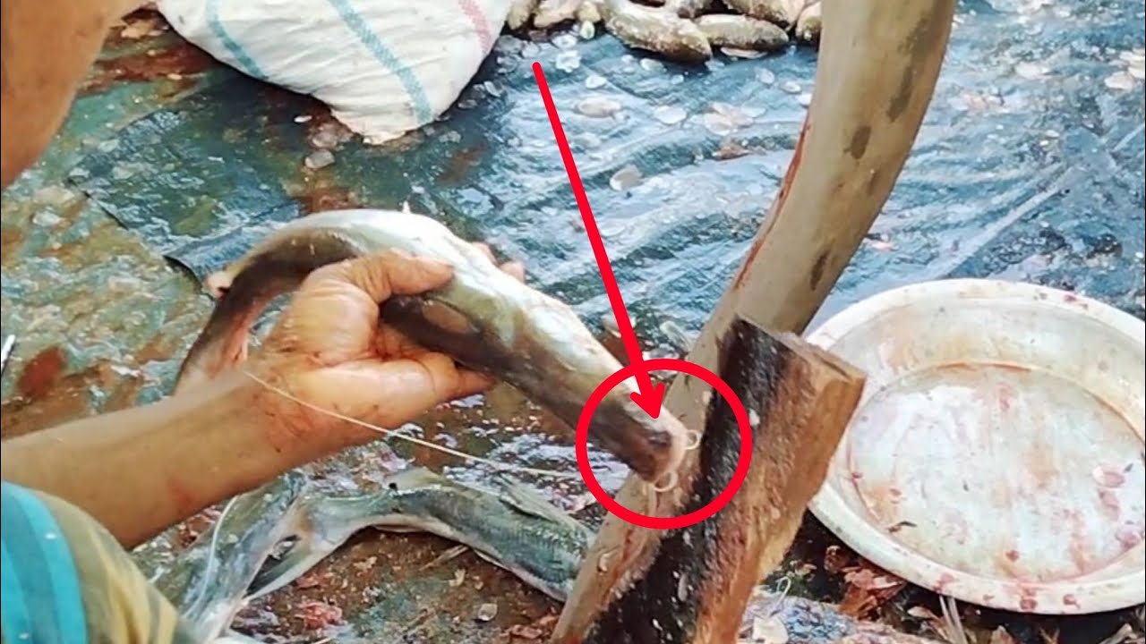 Smart Cutting Man || Fastest Small Ir Fish Cutting Skills In Bangladesh Fish Market