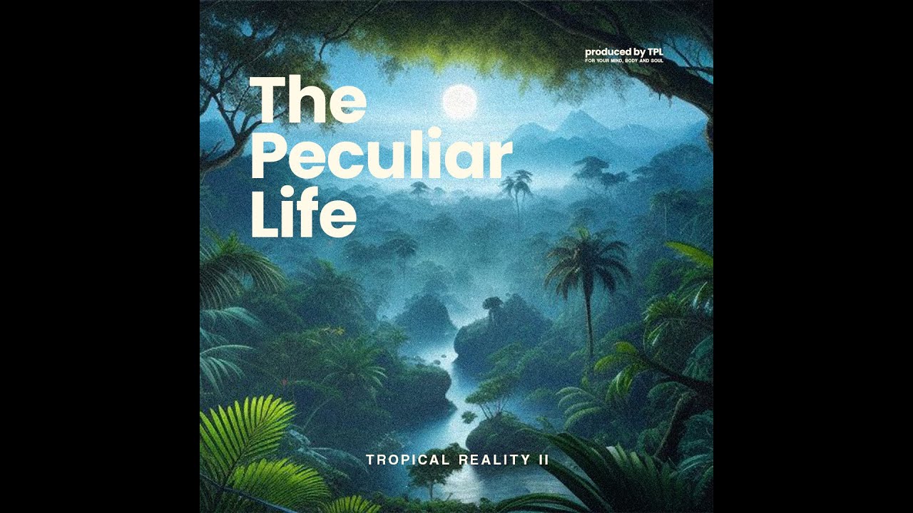 TROPICAL REALITY II - Heartbeat riddims and lunar vibes | reggae journey mix
