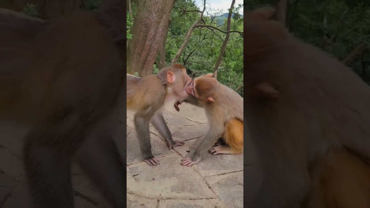 Give Me A Kiss
