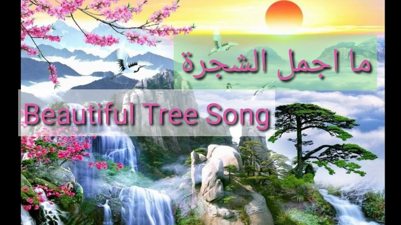 نشيد ما اجمل الشجرة خضراء  beautiful tree song nasheed ma ajmala shajara