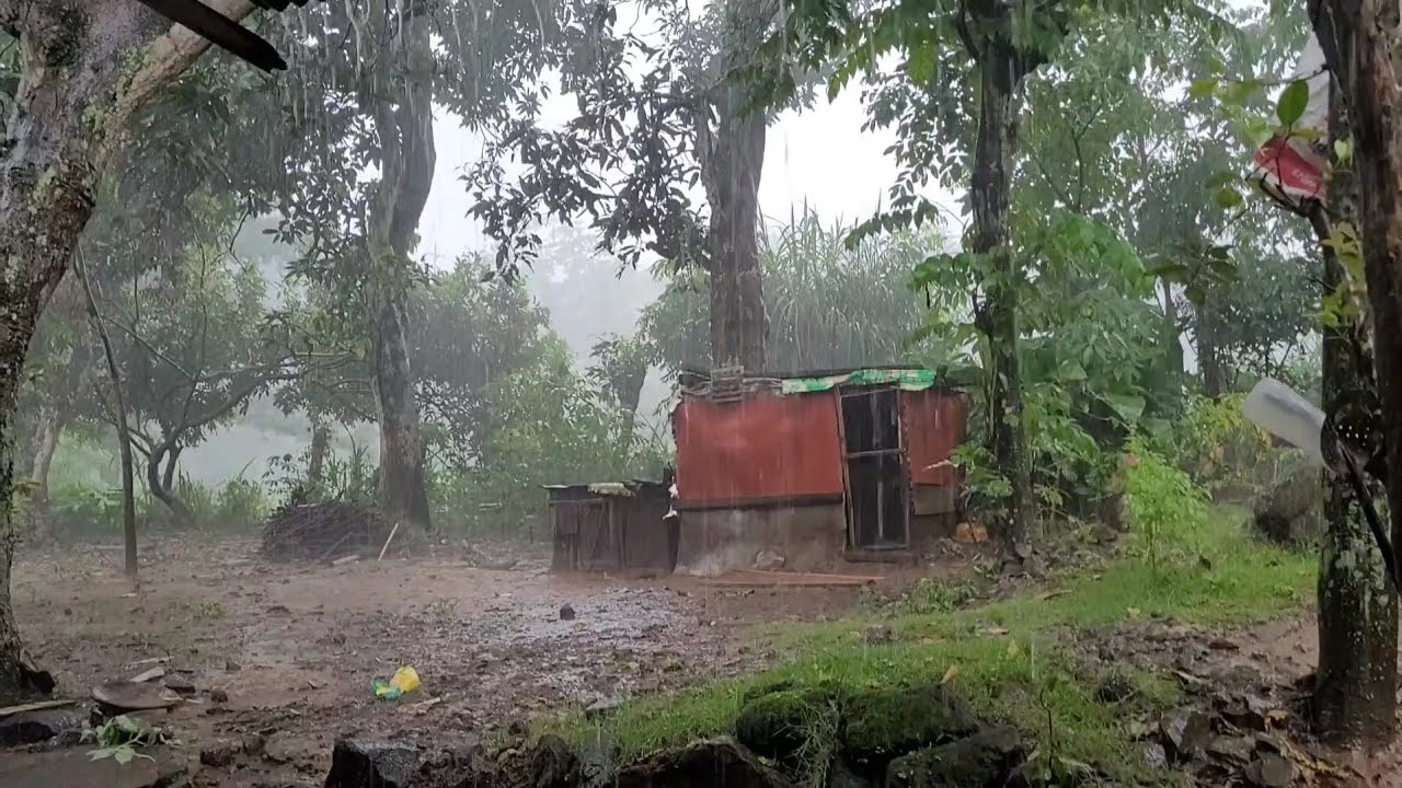 The heavy rain in the village yard was so soothing to the ears that I wanted to sleep soundly 