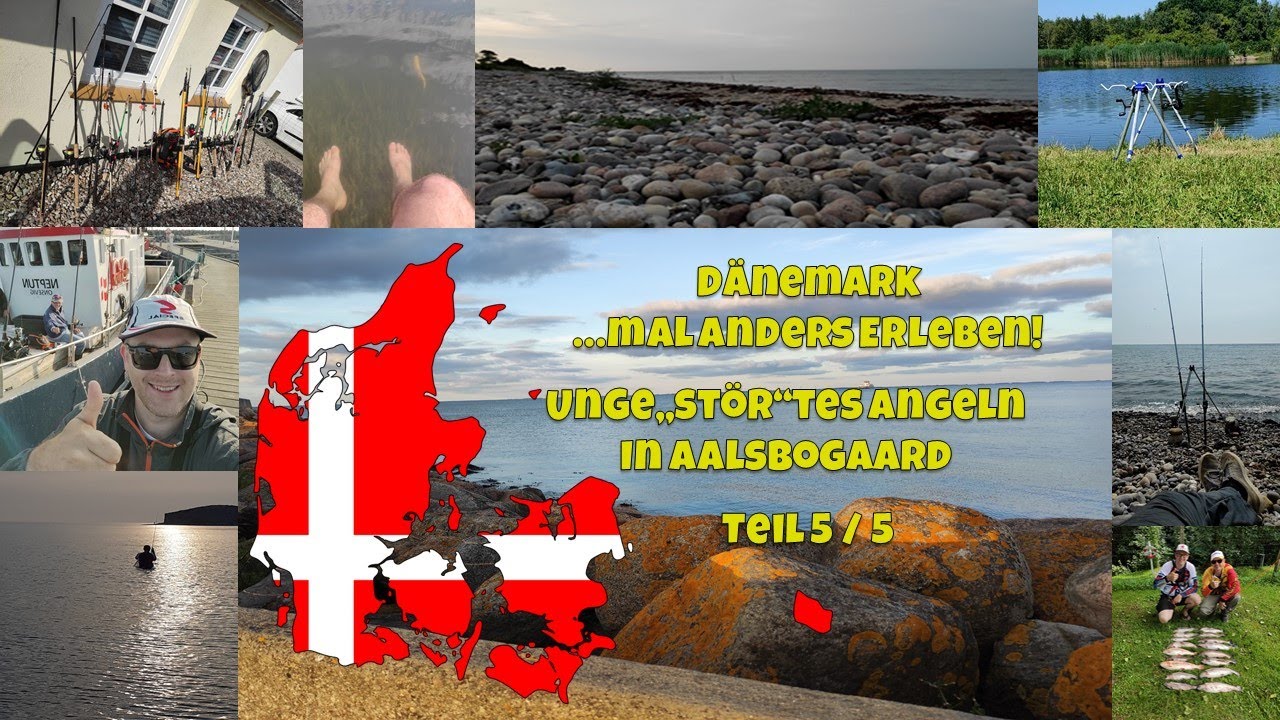 Dänemark…mal anders Erleben! Teil 5 / 5 Unge„Stör“tes Angeln in Aalsbogaard