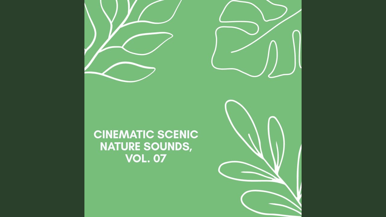 Ocean Waves and Cine Atmos