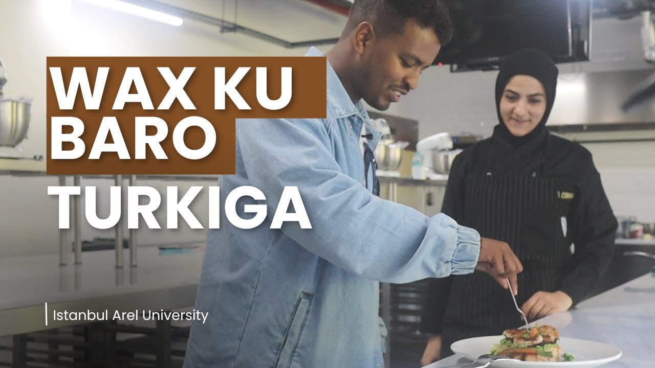 🎓Ma Daneenaysaa Waxbarasho Dalka Turkiga? Qaasatan Jaamacada Istanbul Arel?