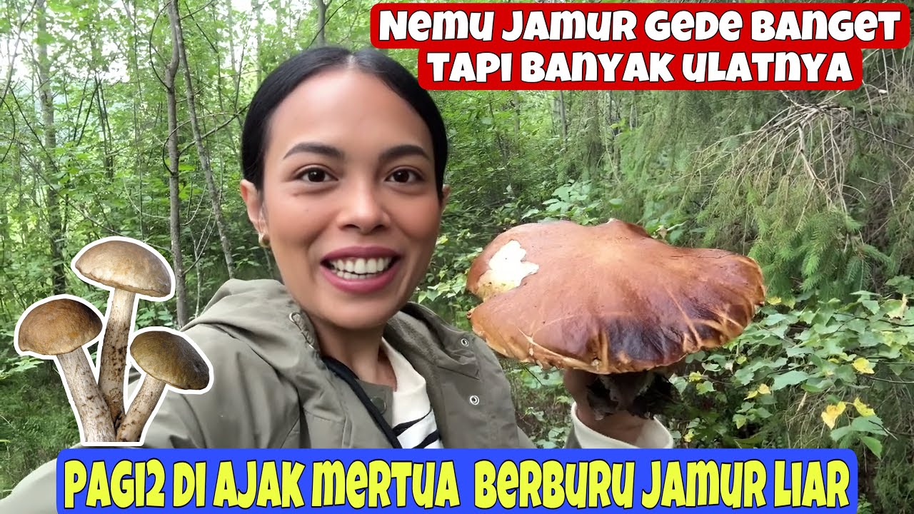 PAGI2 BERBURU JAMUR LIAR DI HUTAN UKRAINA || VLOG PEDESAAN UKRAINA 