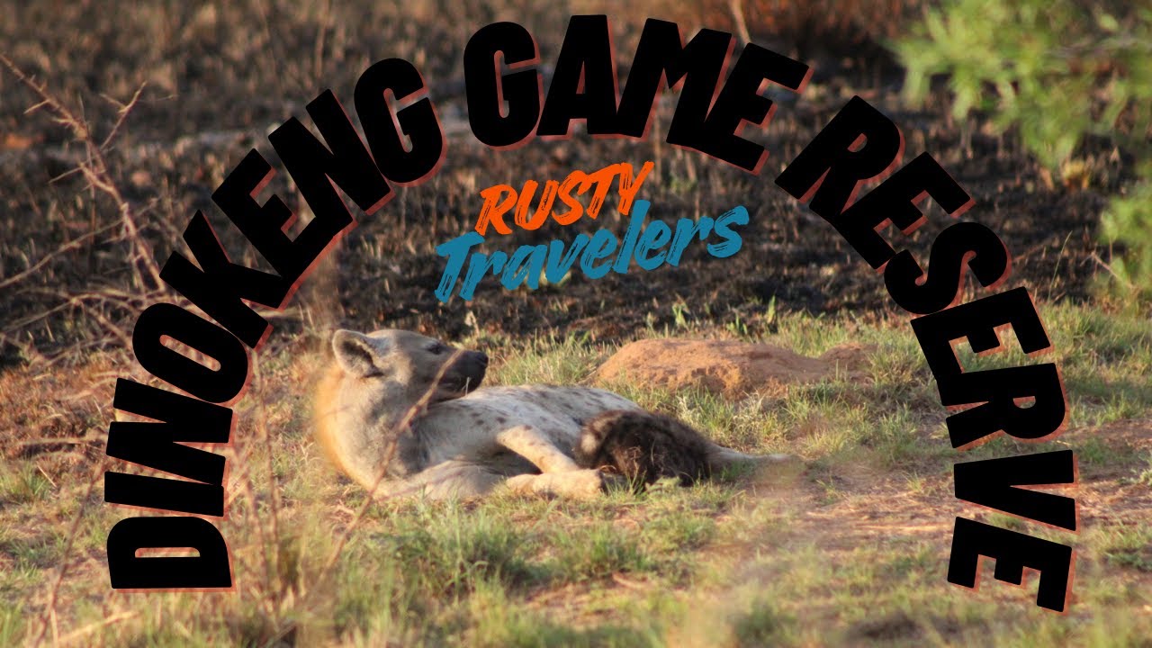 We Explored Dinokeng Game Reserve and Here's What We Found