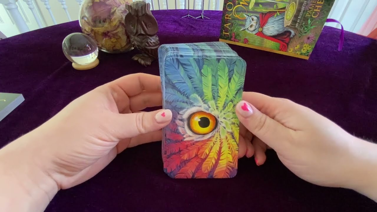 BEAUTIFUL- Llewellyn's Tarot of the Owls by Pamela Chen- Flip Through and Review #tarotoftheowls