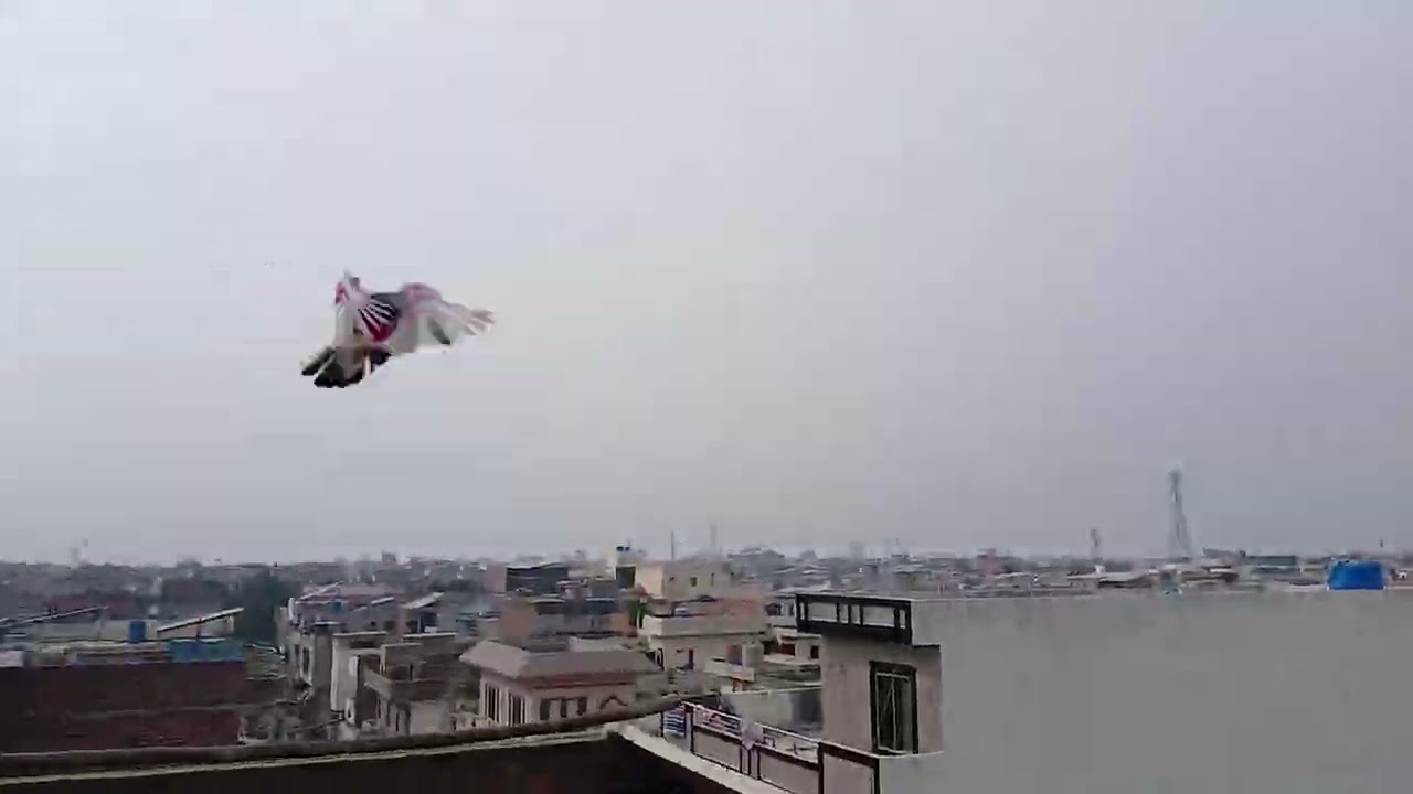 kabutaron ko andar hi Dana Pani Dal Diya
