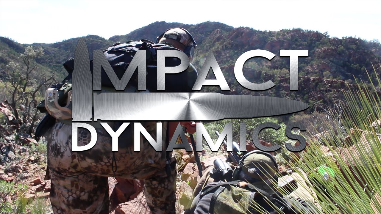 Impact Dynamics in the Flinders