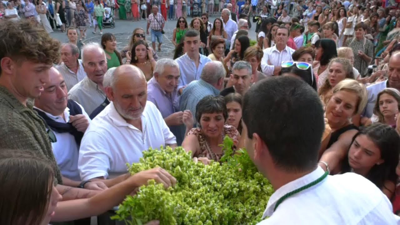 Tv Marcilla - 05/08/2023 - Plu - Reparto de Albahaca y Procesión.