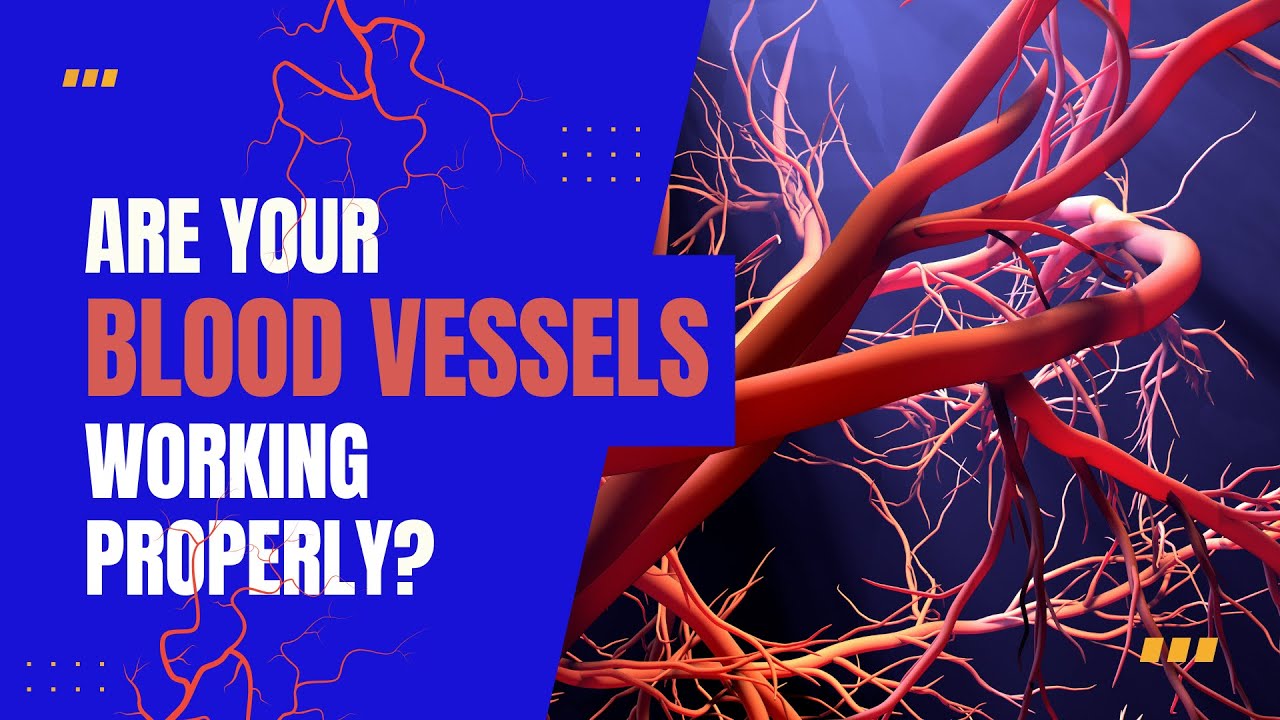 Long Covid research: Vascular and endothelial dysfunction