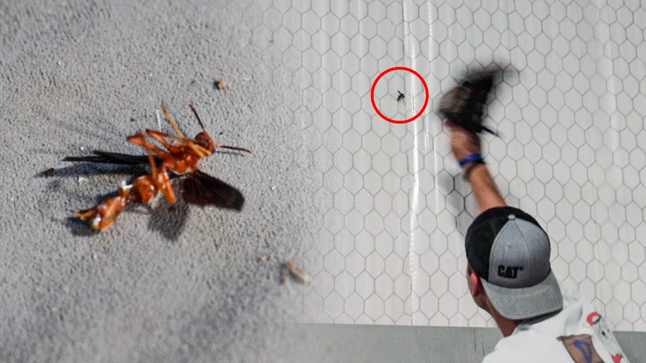 We have a bug problem...