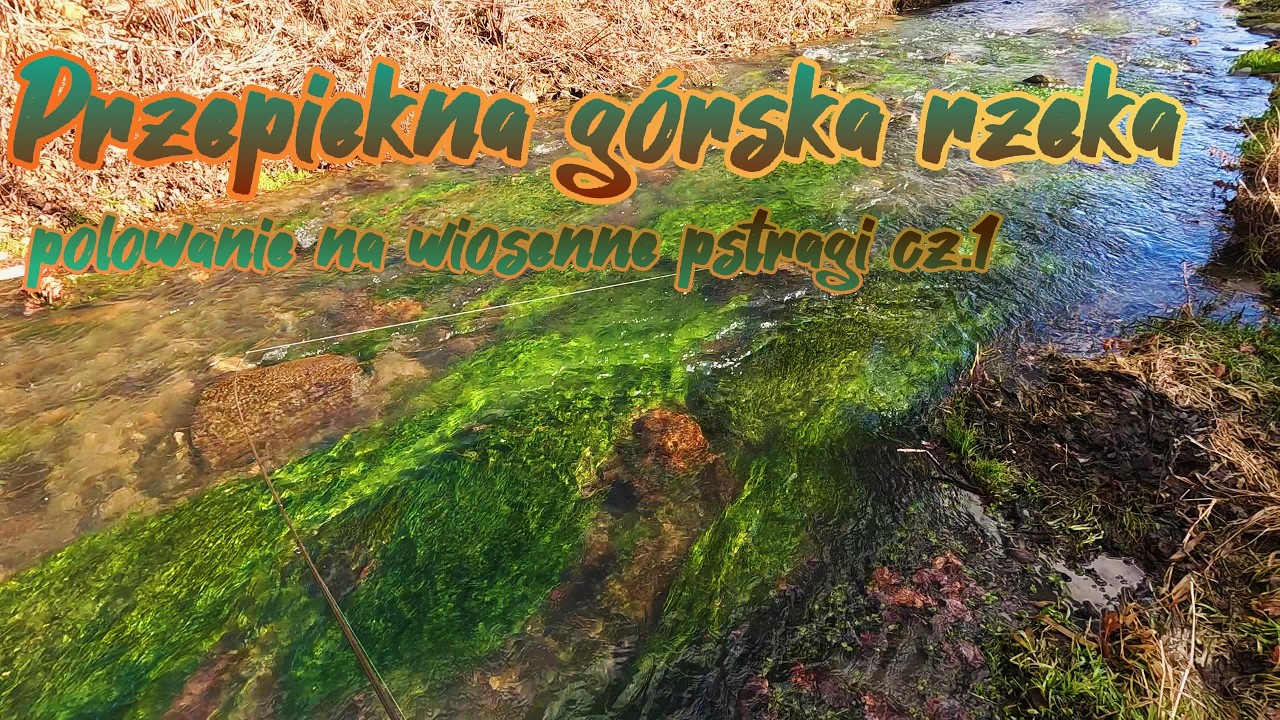 Ekstremalna wyprawa nad górskim potokiem. Polowanie na wiosenne pstrągi #spiningfishing #nature