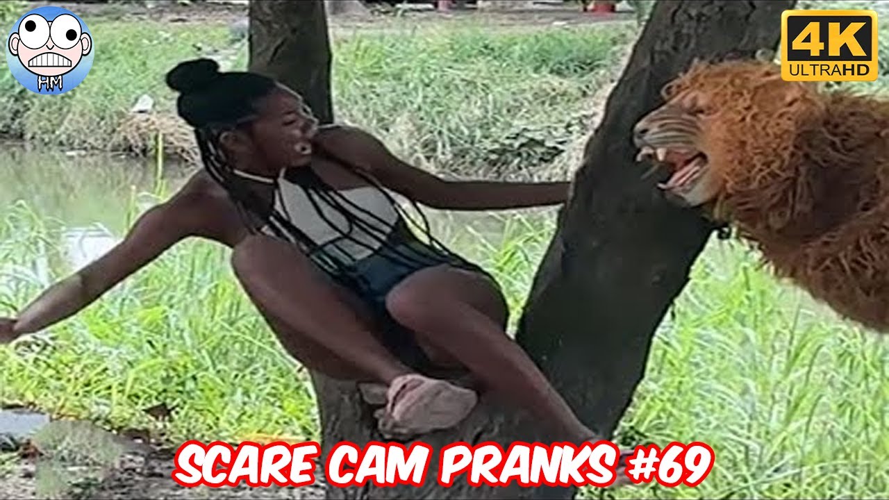 Best Scare Cam Pranks 2025 😱 #69 | Jump Scare | Epic Fails | HM - Funny Scare Pranks