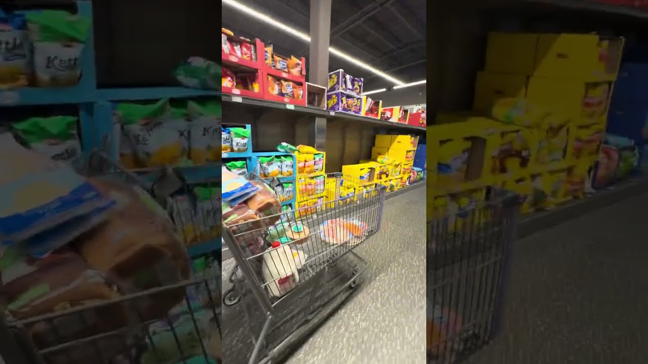 Aldis non goyslop section 2026 experience 