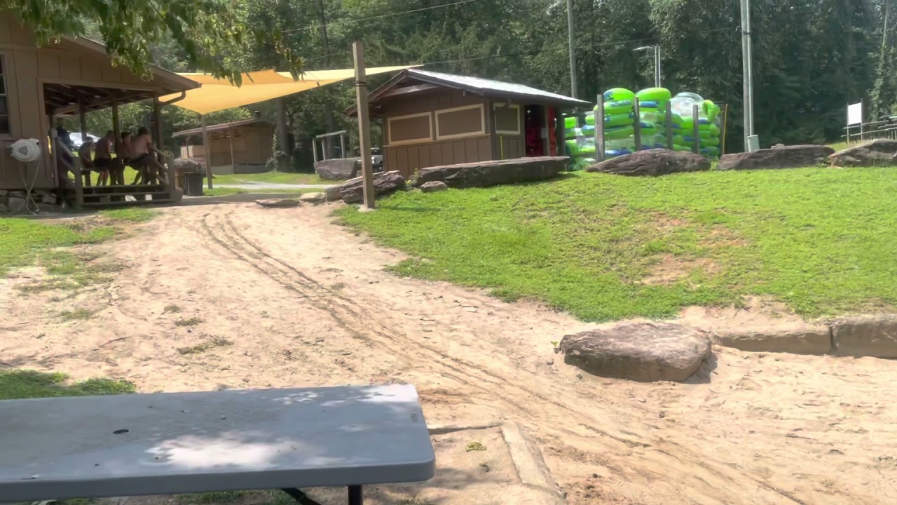Dog Days Of Summer
