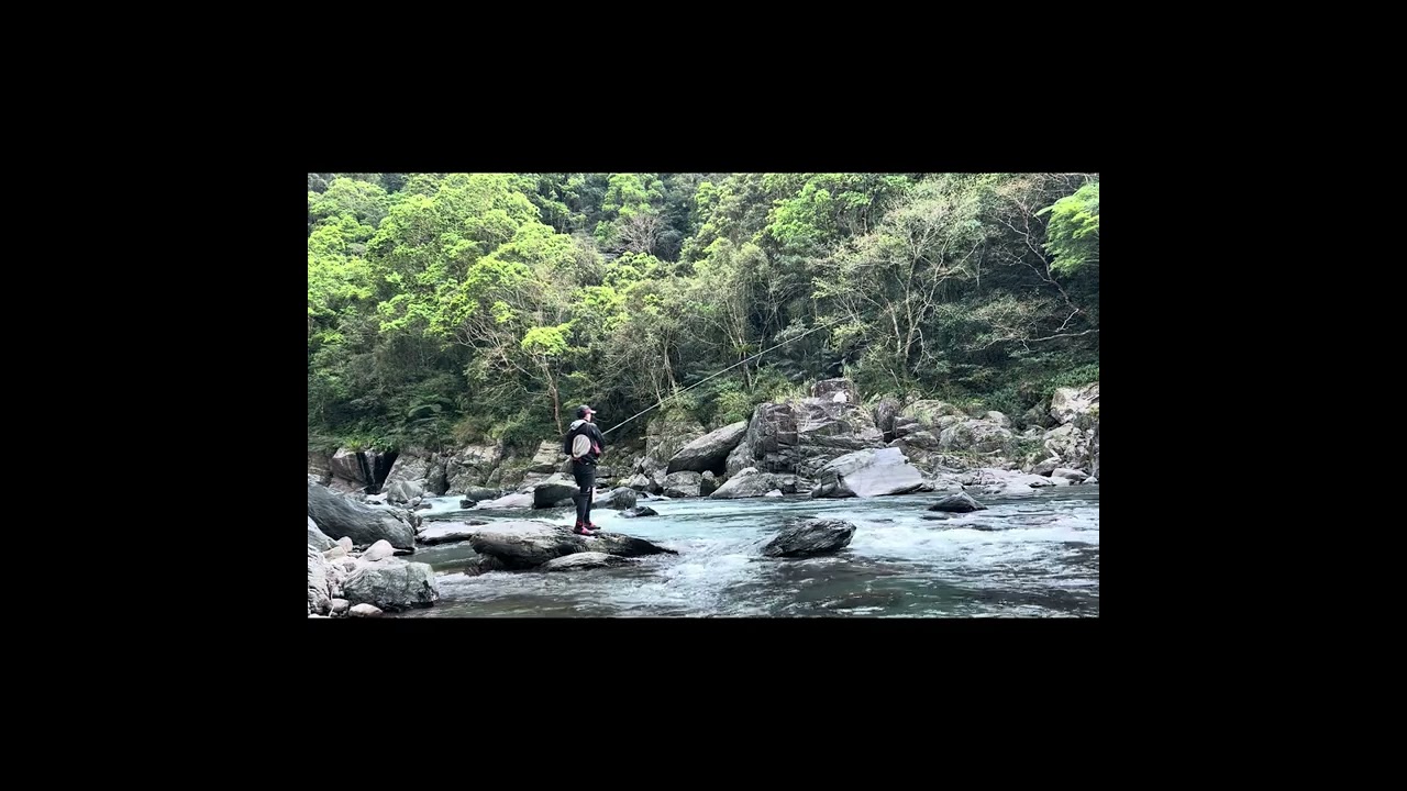 呎花32cm，第112勝，苦花放流，本流竿拋竿教學，釣苦花的態度，9拋換1尾，無誘餌的溪釣，Super Game Long Special M95-100 ZB，202503。